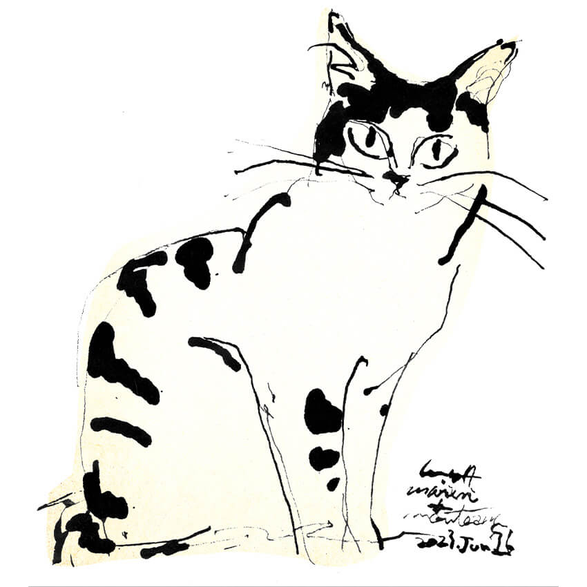 スタンプラリー