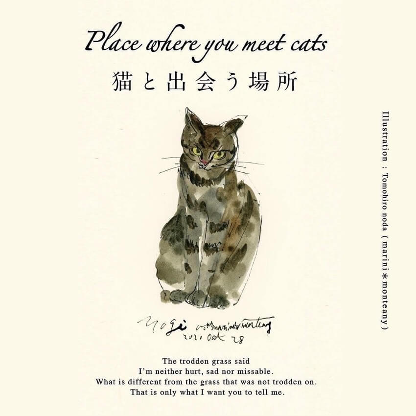 「Place where you meet cats」〜猫と出会う場所〜スペシャルイベント
