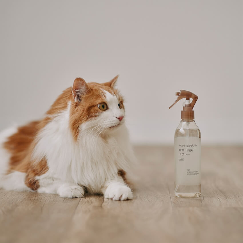 お買い上げプレゼント